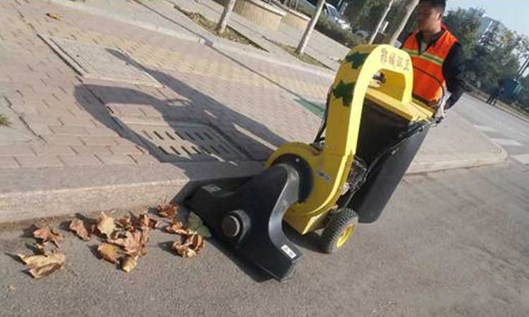 鄆城街頭出現了一種吸樹葉神器，打掃落葉分分鐘搞定！