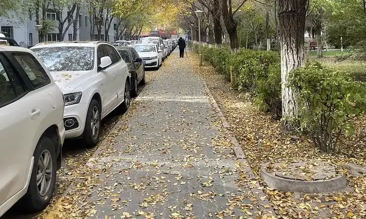電動樹葉收集車