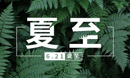 夏至|百易環衛車，許你清涼一夏