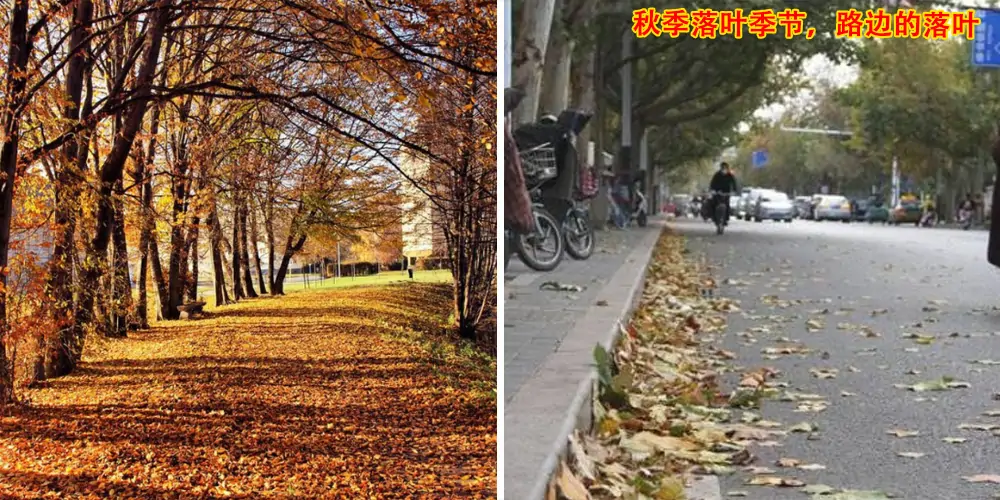 三輪樹葉收集車_多功能樹葉收集車_吸樹葉的機器_掃樹葉神器